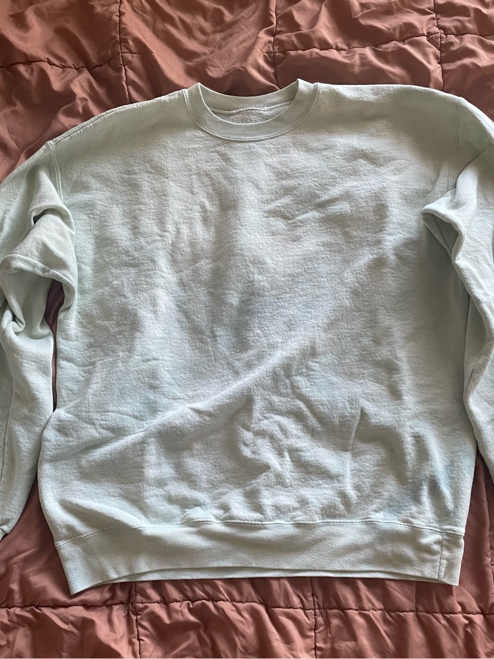 Hanes Crewneck Sweatshirt in Pale Mint Green